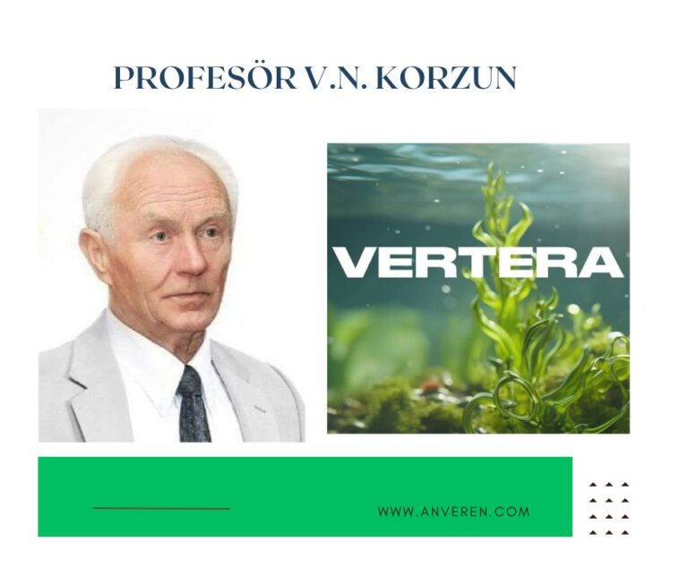 Vertera nereden geliyor?